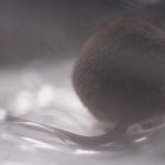R0013448