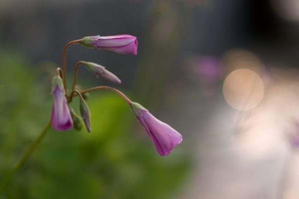 2012-05-10 07-32-32