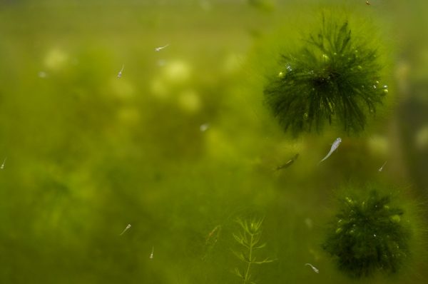 2012-07-17 10-23-10